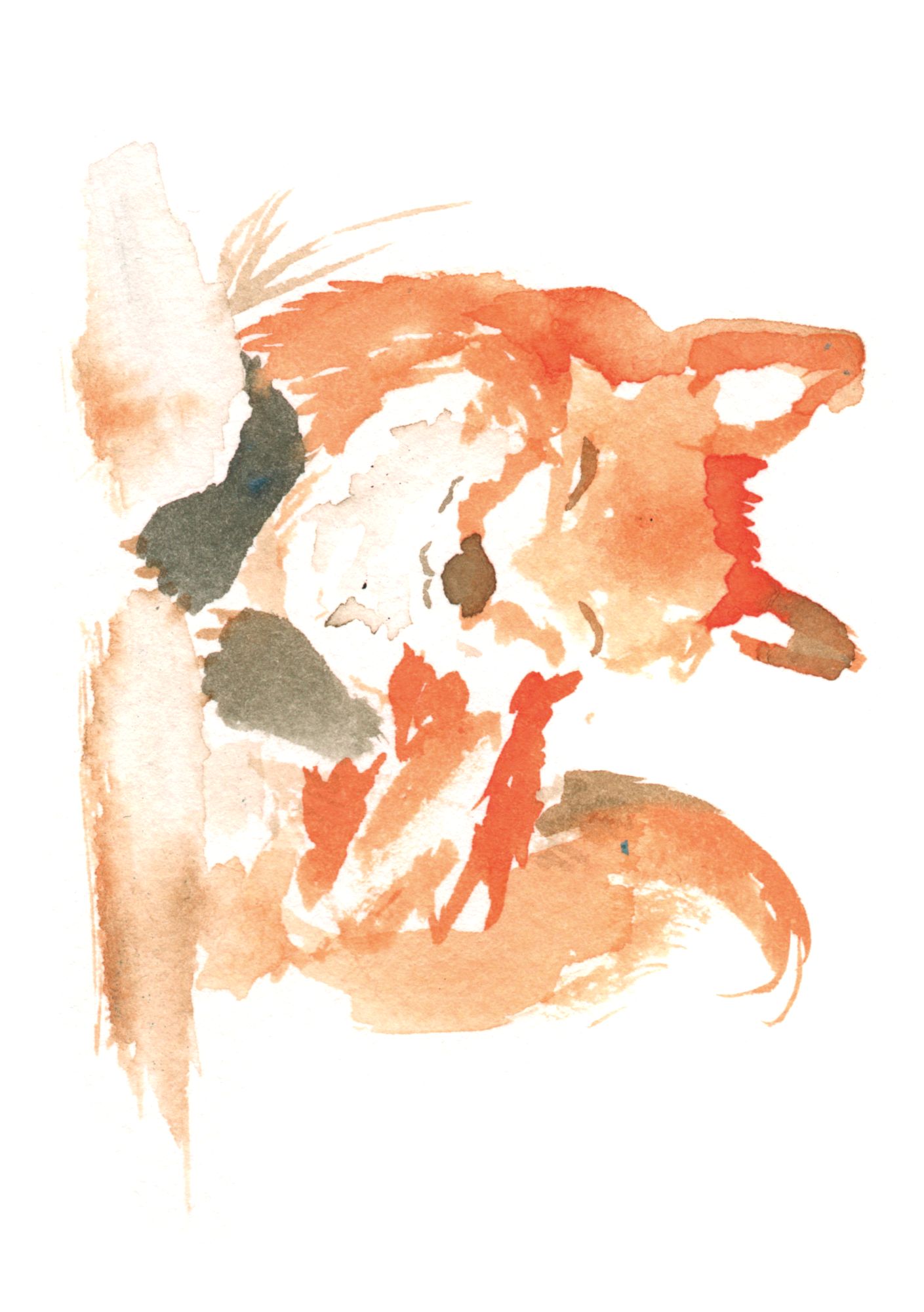 description of image