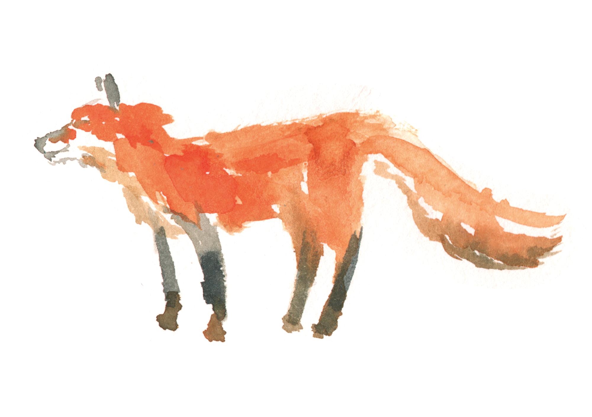 description of image