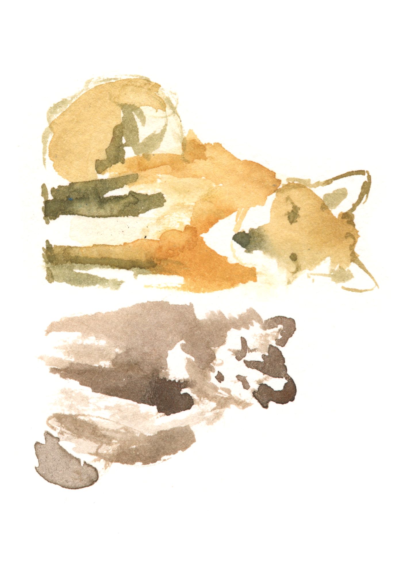 description of image