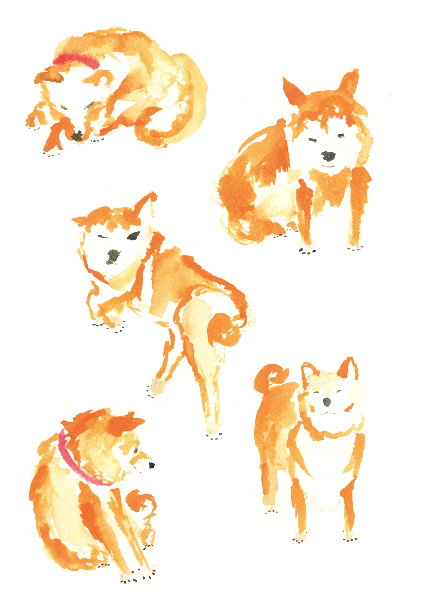 description of image