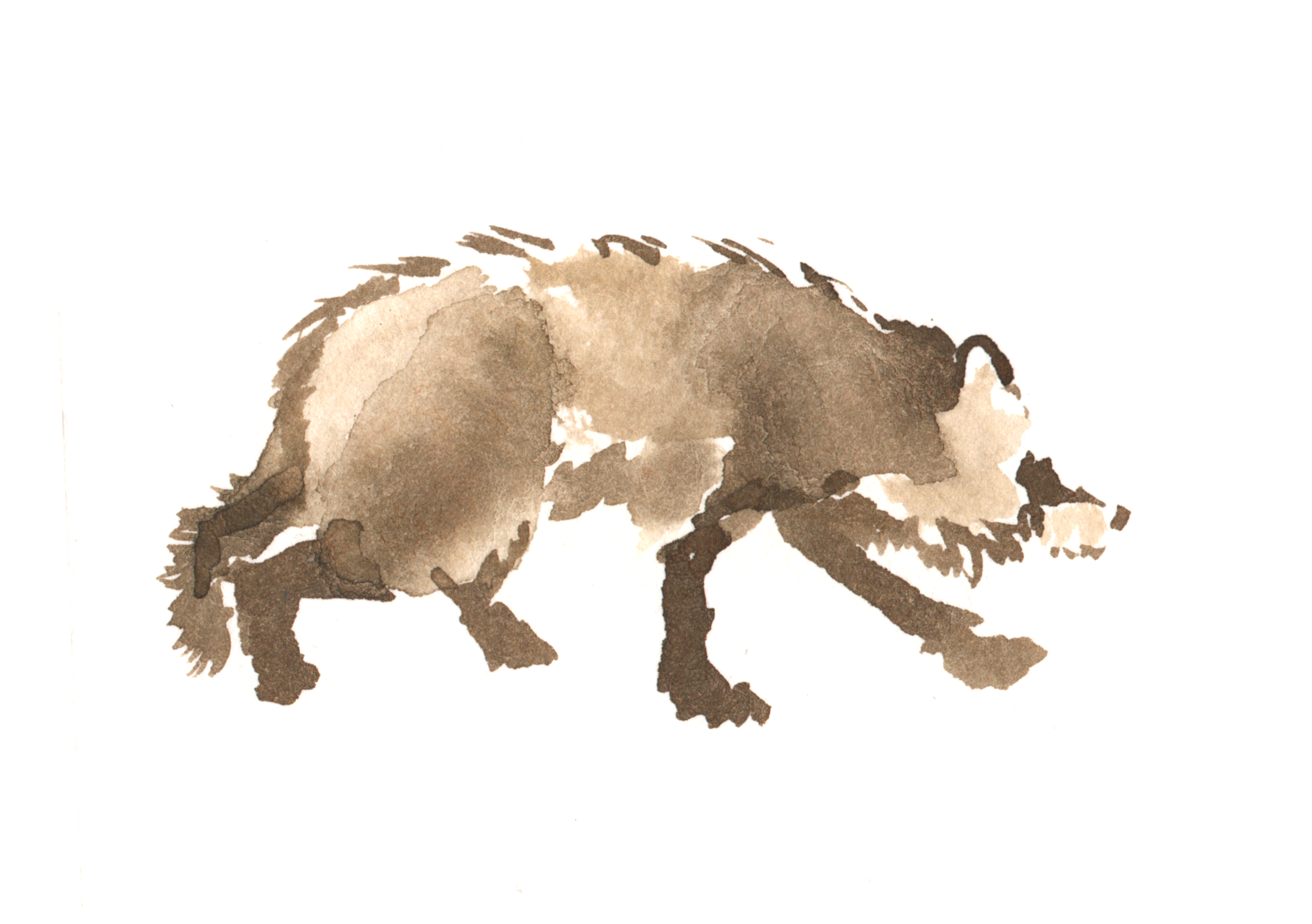 description of image