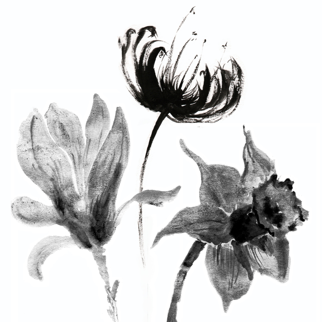 description of image